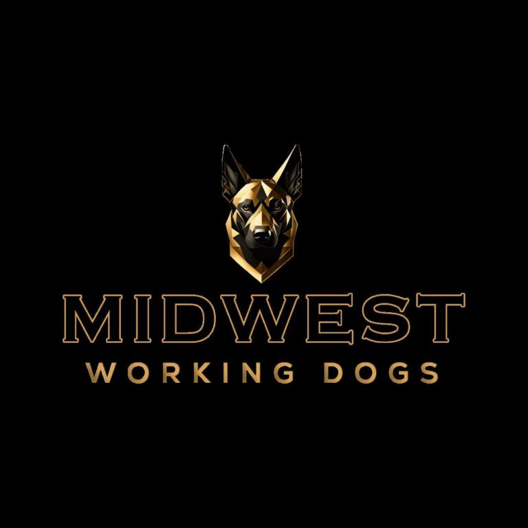 HITS K9 HITS Training and Consulting